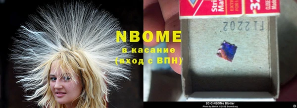 ГАЛЛЮЦИНОГЕННЫЕ ГРИБЫ Сатка