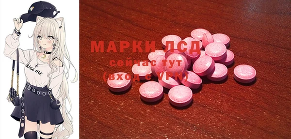 ГАЛЛЮЦИНОГЕННЫЕ ГРИБЫ Сатка
