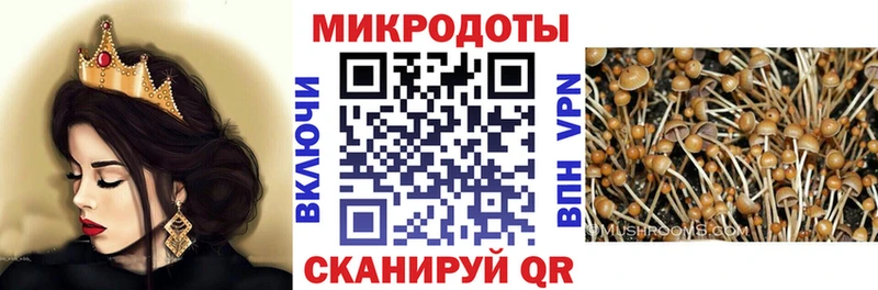 Псилоцибиновые грибы Cubensis  Купить закладки  Чернушка 